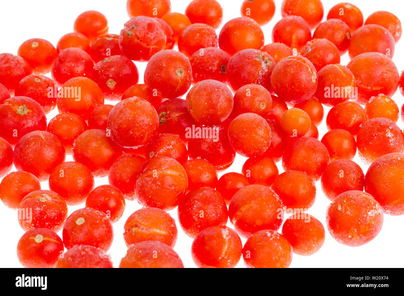 Tomatoes, frozen in refrigerator isolated on white Stock Photo Alamy