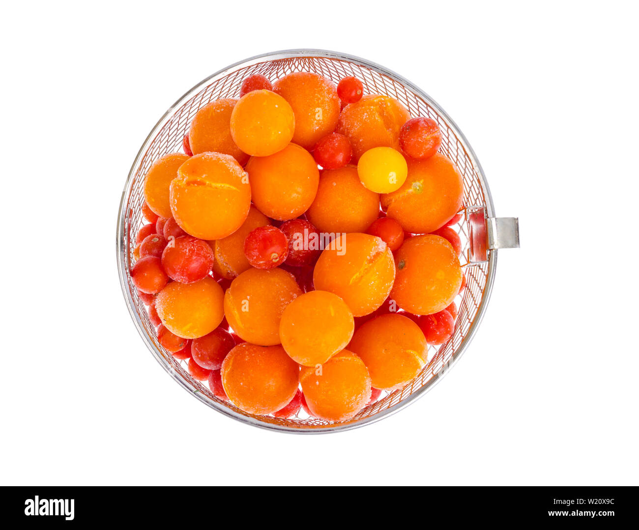 Tomatoes, frozen in refrigerator isolated on white Stock Photo Alamy
