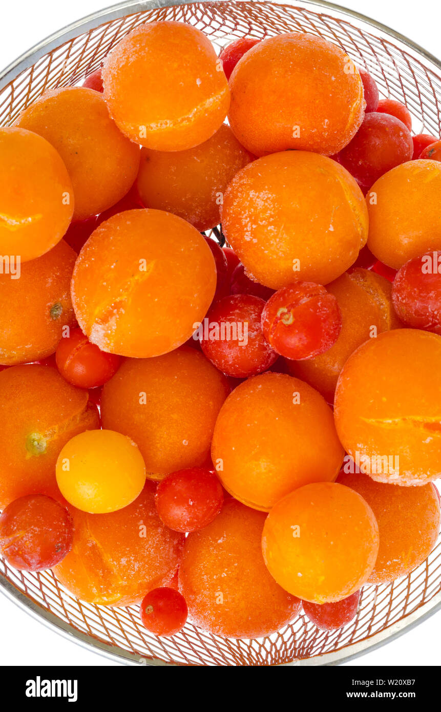 Tomatoes, frozen in refrigerator isolated on white Stock Photo Alamy