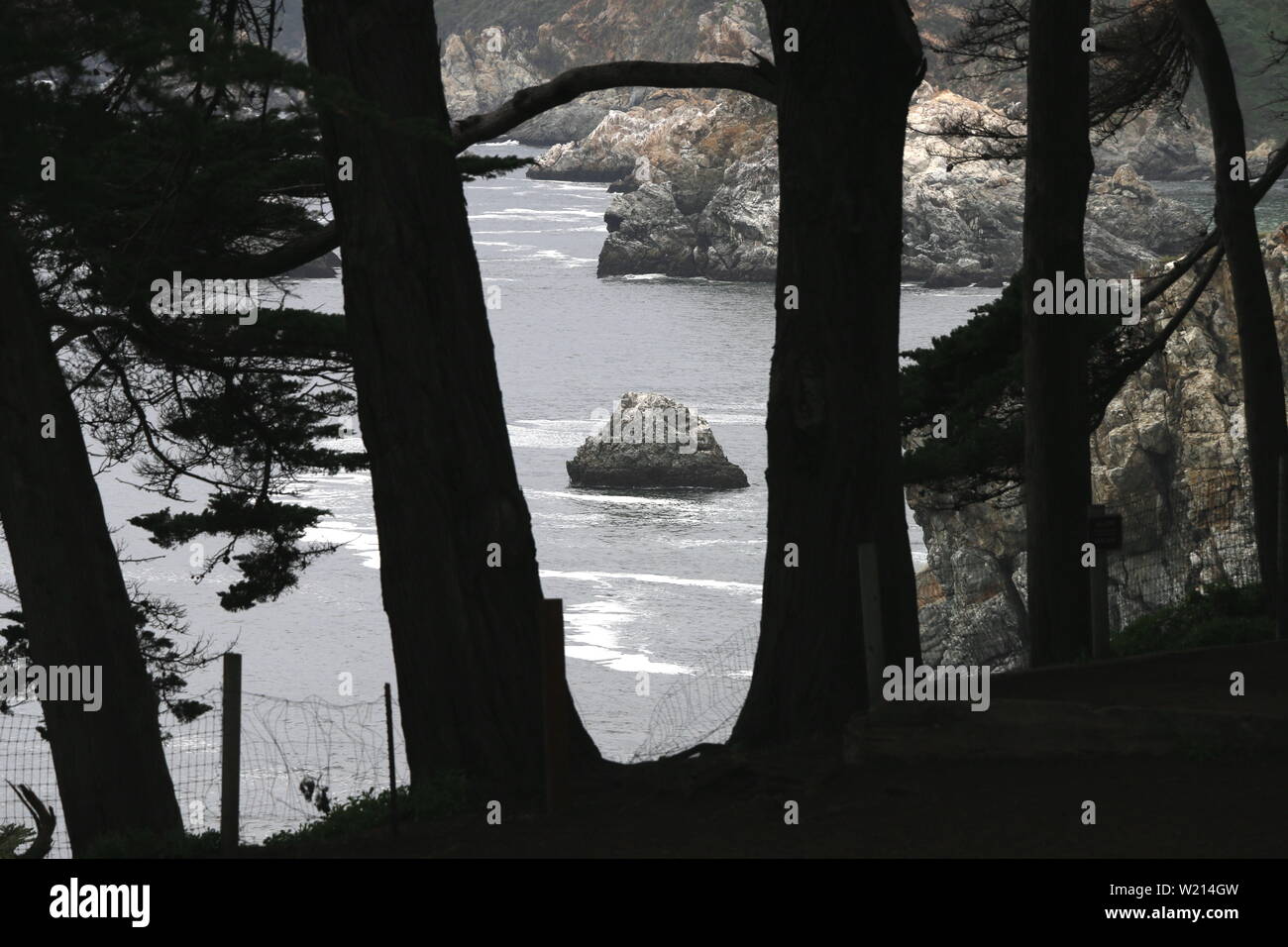 Cypress trees by a cove, Big Sur CA Stock Photo Alamy