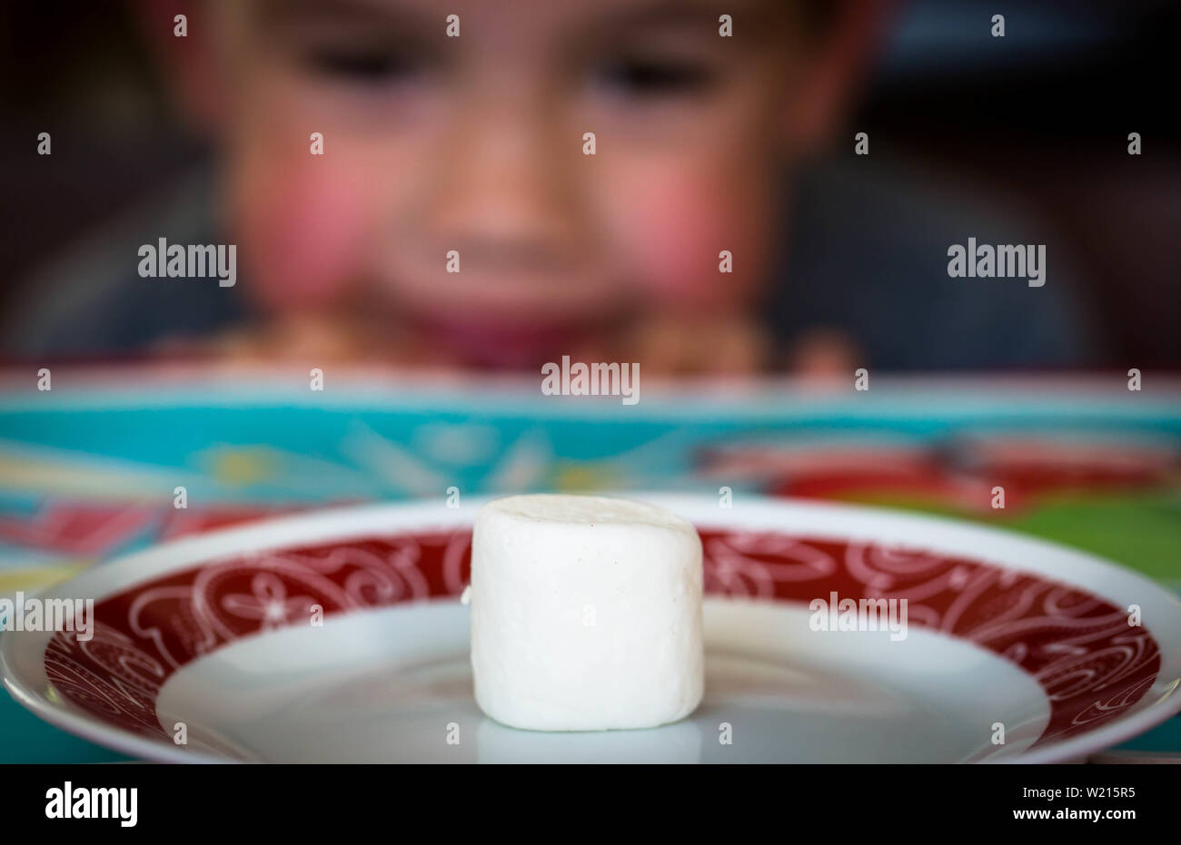 5 year old kid patiently waiting for his marshmallow. Marshmallow test