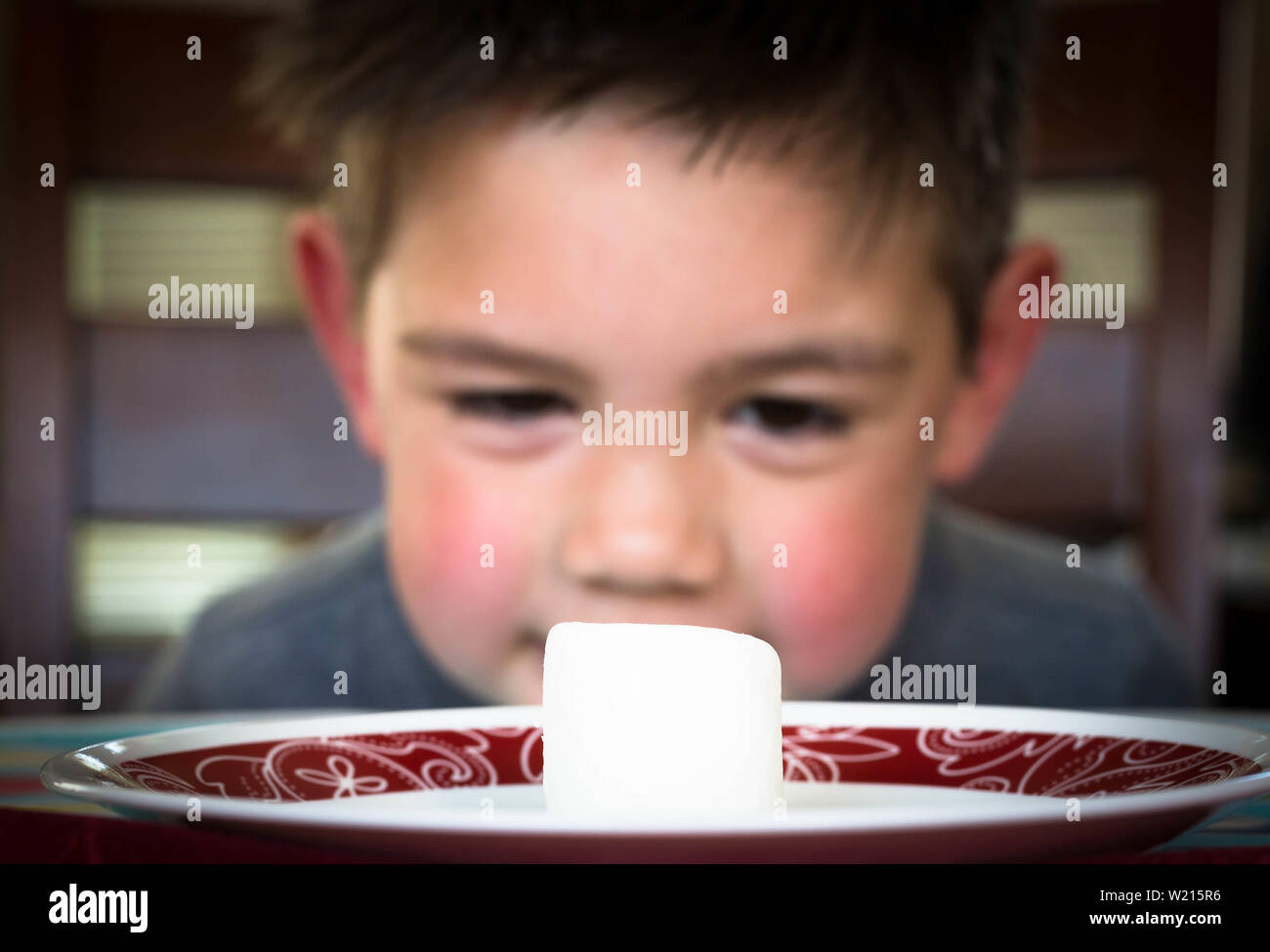 5 year old kid patiently waiting for his marshmallow. Marshmallow test