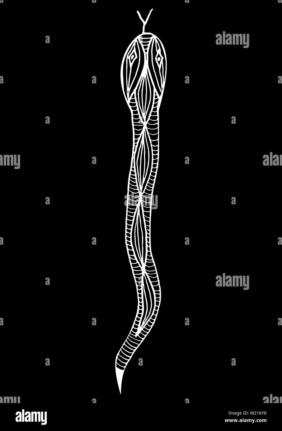 Hand drawn illustrations of viper snake isolated on black background. Stock Vector