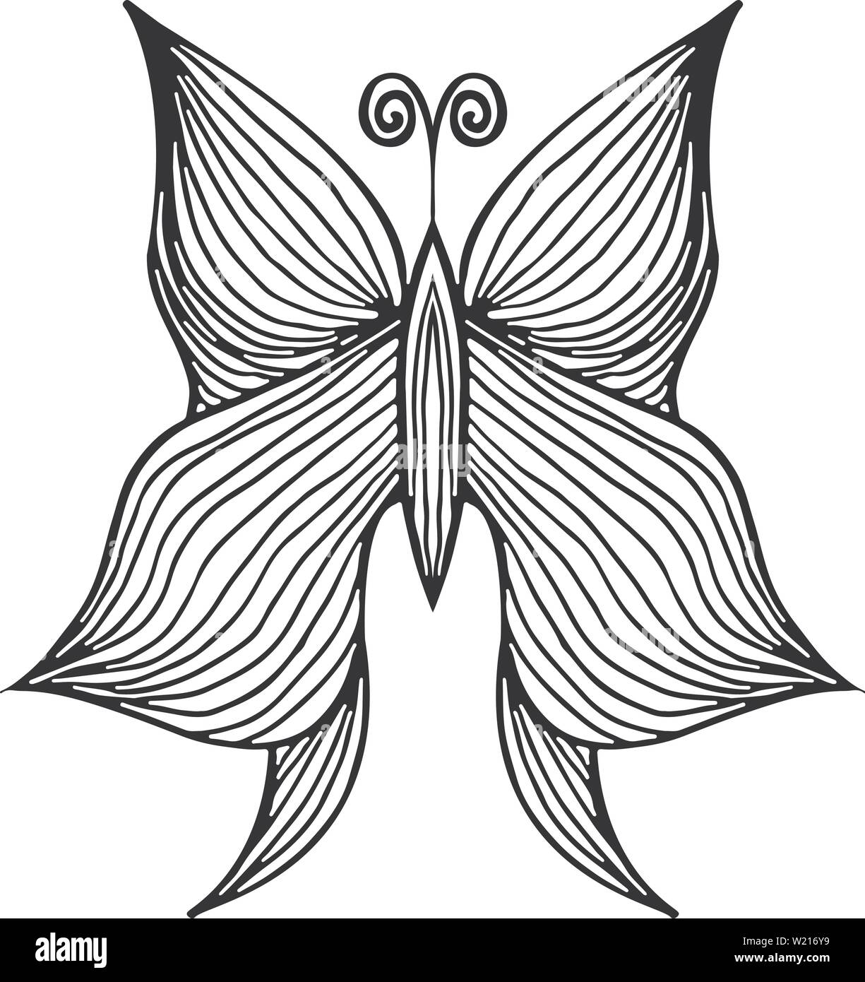 Abstract vector illustration of hand drawn butterfly isolated on white