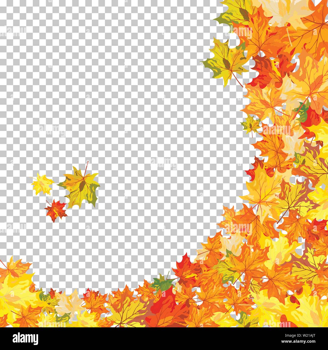 Autumn maple leaves background. Vector illustration with transparency ...
