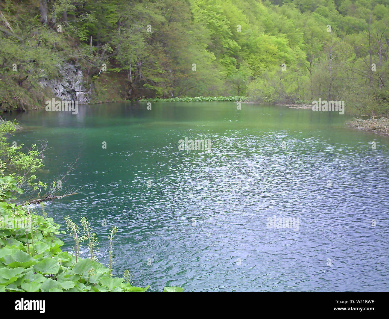 Beautiful lakes in Plivice National Park Stock Photo - Alamy