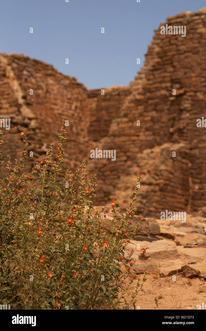 Aztec Ruins National Monument, a World Heritage site preserving ...