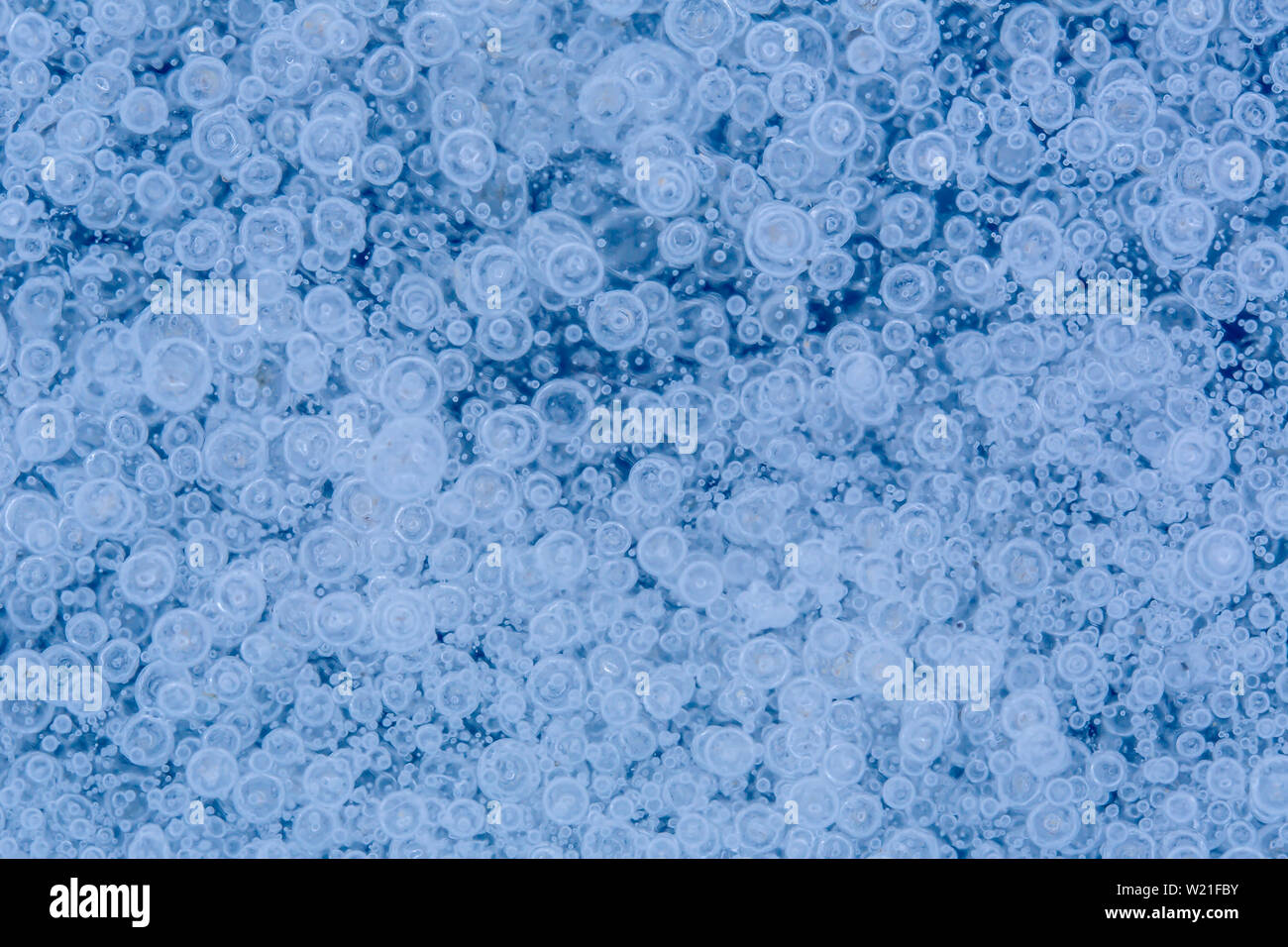 Beautiful icy background with frozen bubbles imprisoned in ice. Endless