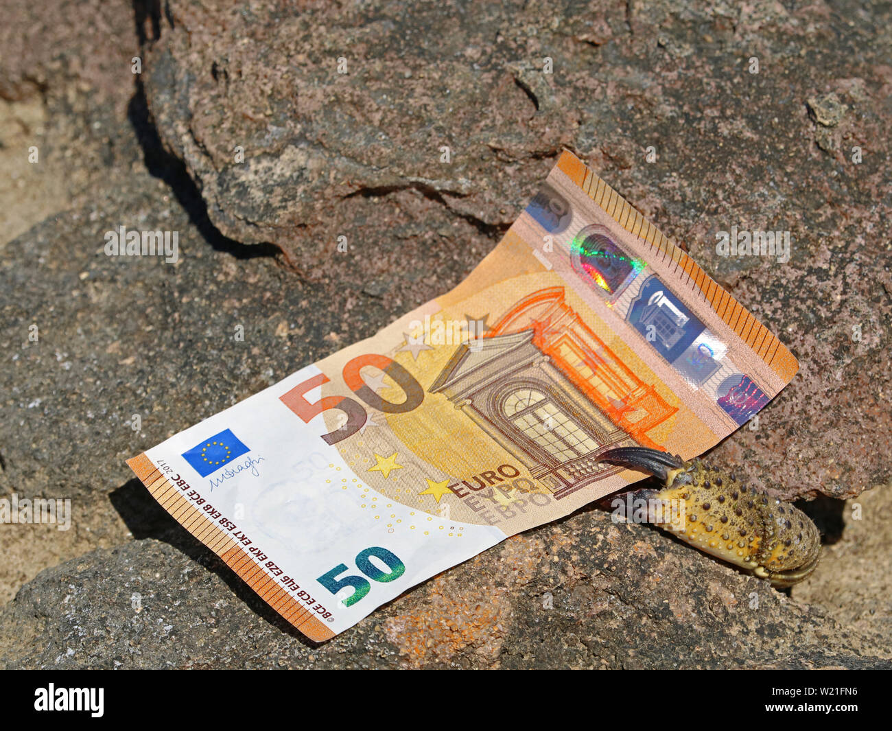 crab on coast try to grab fifty euro banknote, concept of theft on vacation Stock Photo