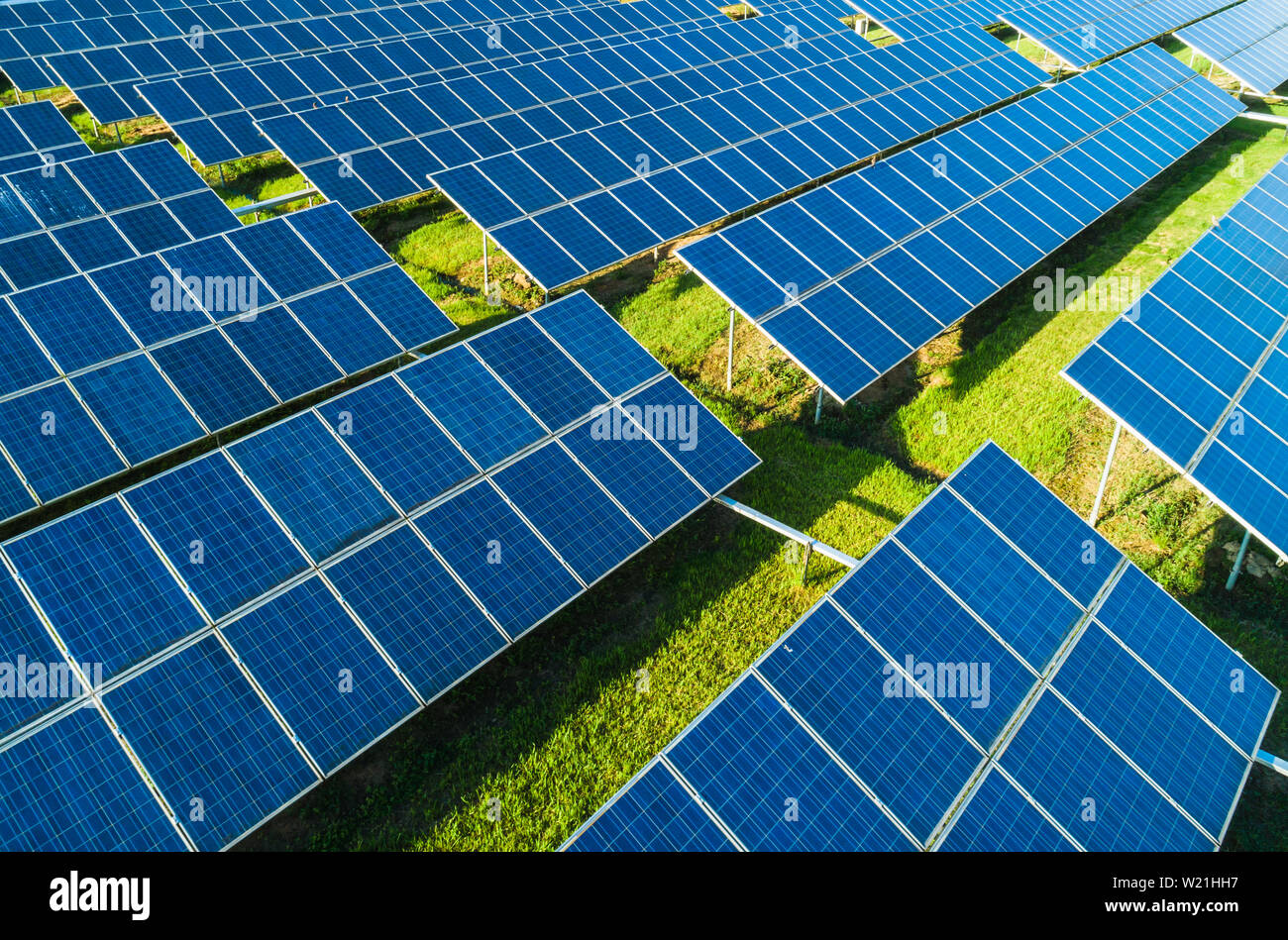Aerial close-up view of Solar Panels Farm with sunlight.  Renewable green alternative energy concept. Stock Photo