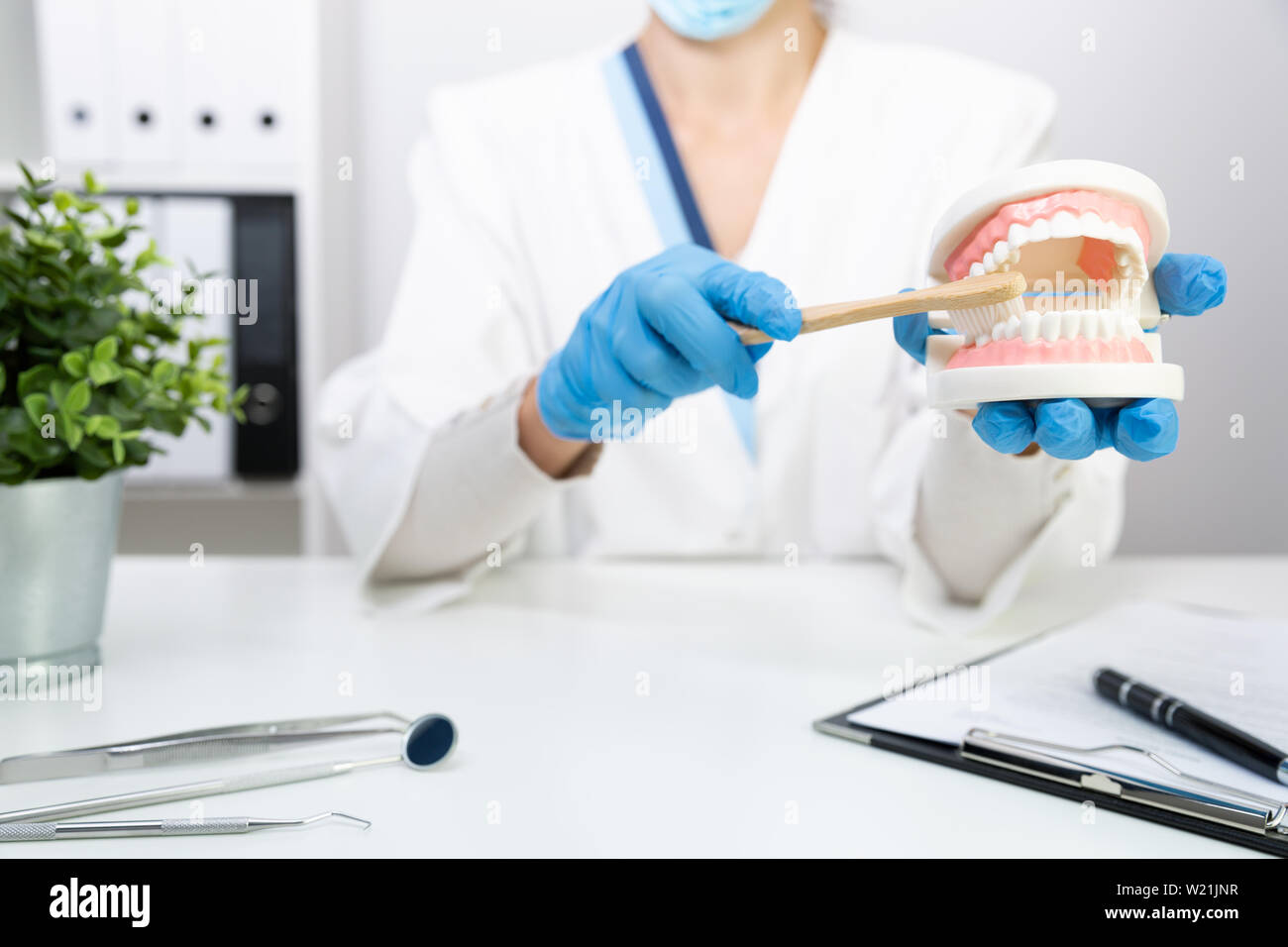 Female dentist explain about brushing teeth in clinic, holding tooth brush and teeth model. Dental hygiene and health with expert concept Stock Photo
