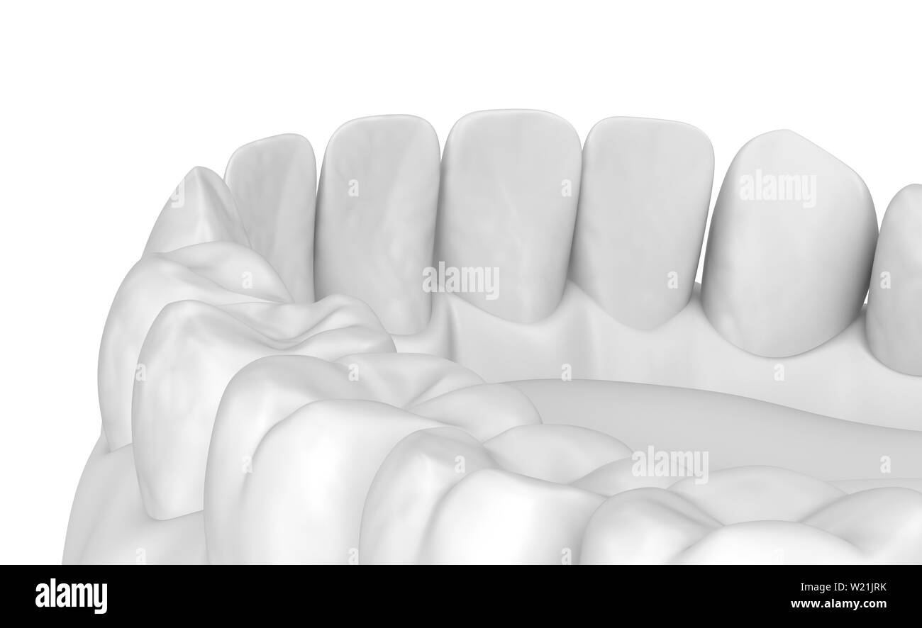 Mouth gum and teeth. White stye 3D illustration Stock Photo