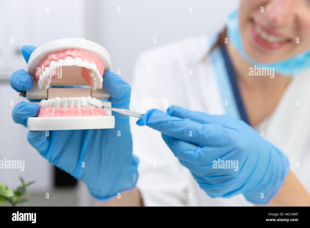 Female dentist holding professional stomatology tool and pointing at the teeth model. Dental hygiene and health concept Stock Photo