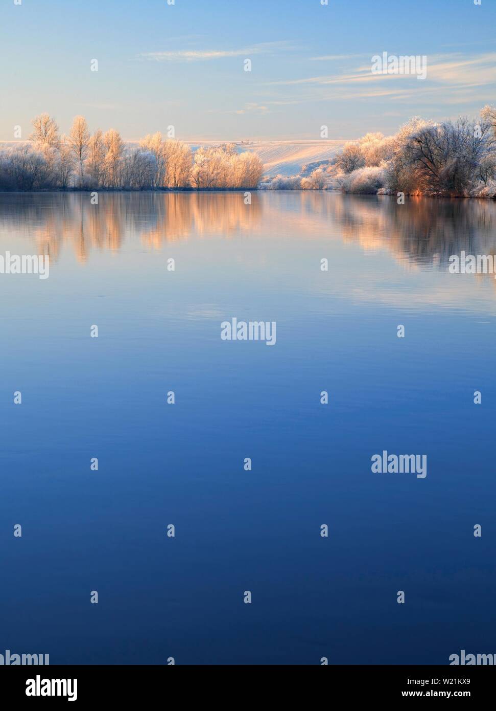 River landscape in winter at the river Saale, trees with frost and snow at the bank in the morning light, water reflection, Lower Saale Valley nature Stock Photo