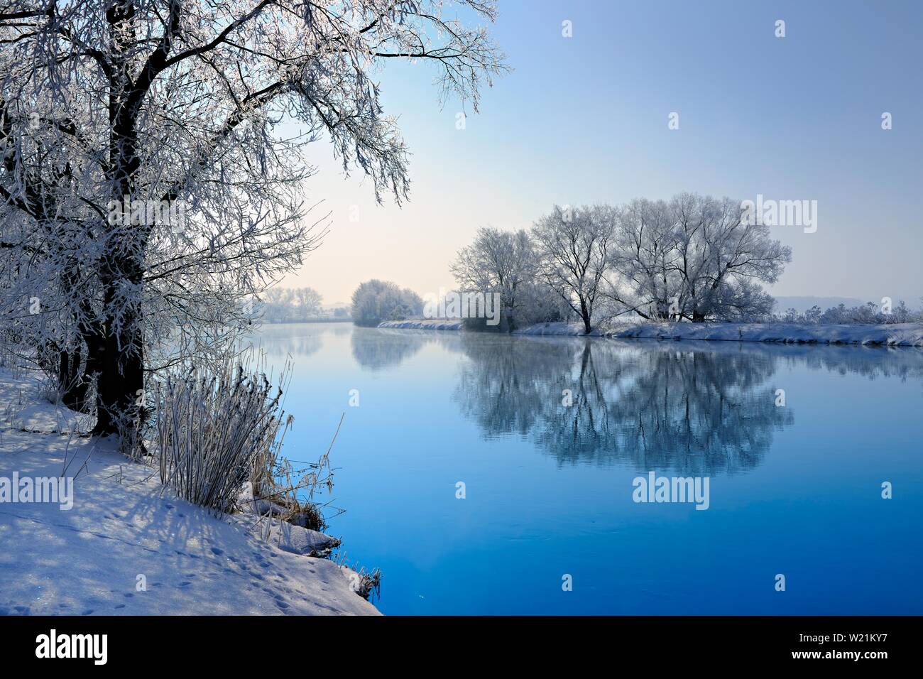 River landscape in winter at the river Saale, trees covered with frost and snow, water reflection, Lower Saale Valley nature park Park Stock Photo