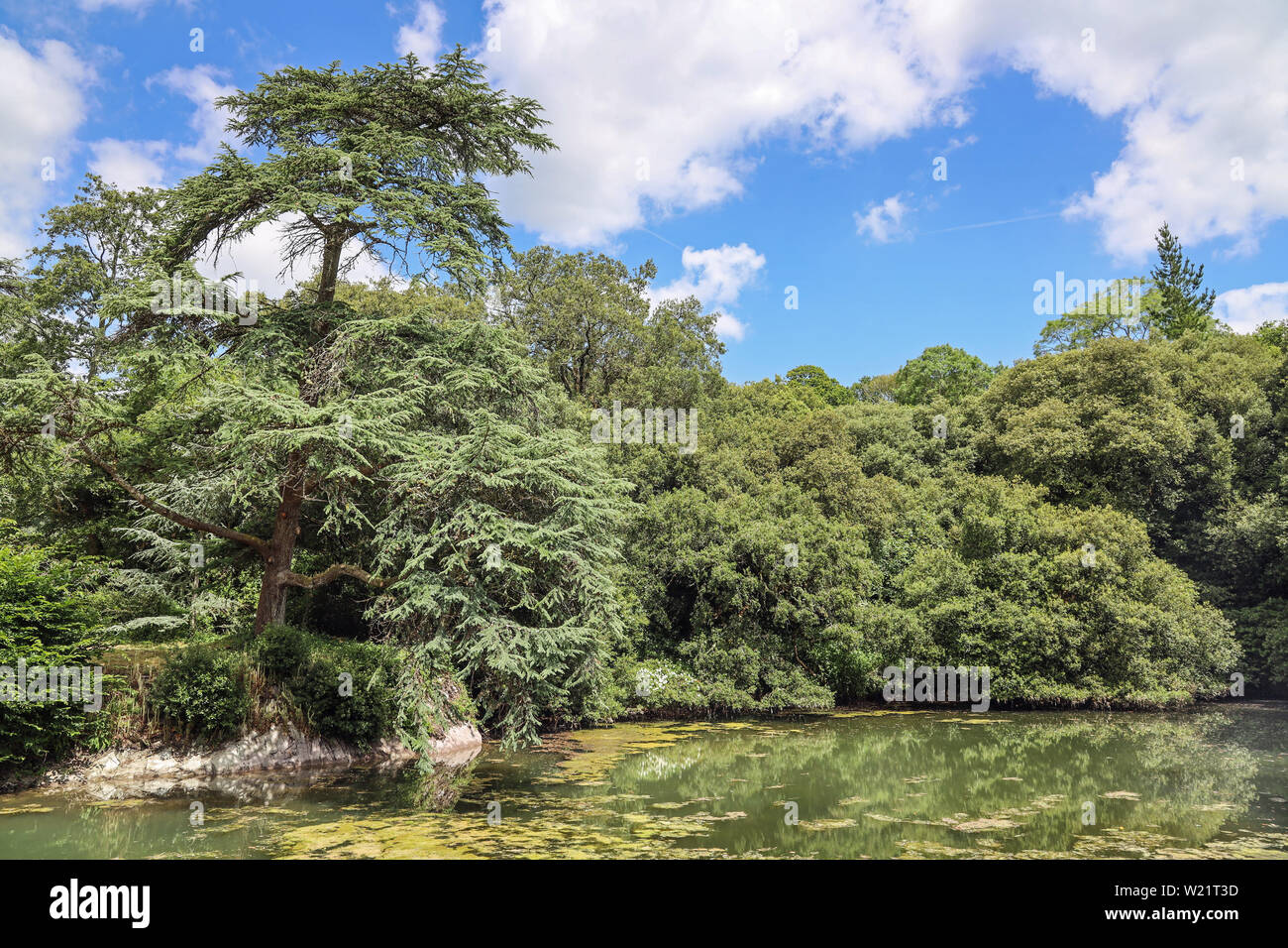 Bath House Pond at Anthony Woodlands, Torpoint Cornwall. Landscaped gardens on the shore of the River Lynher Stock Photo