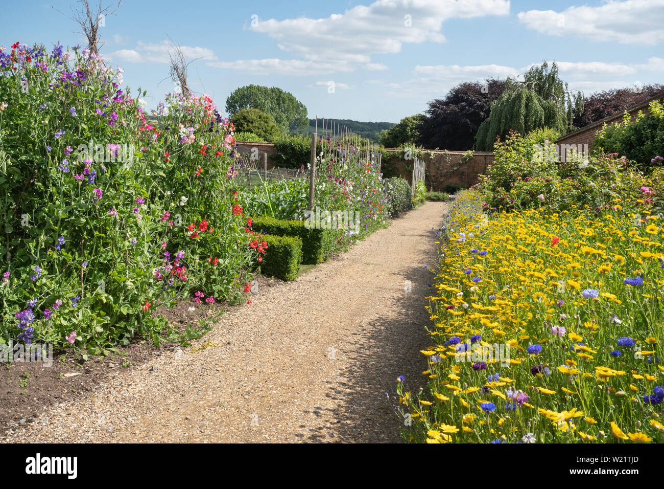 The walled kitchen gardens at Titsey Place country estate in Surrey, UK, on a sunny summer day Stock Photo