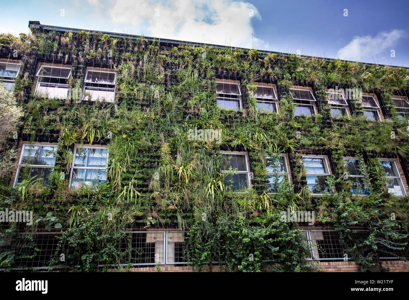 Johannesburg, South Africa, 22nd March 2019 Vertical garden on wall