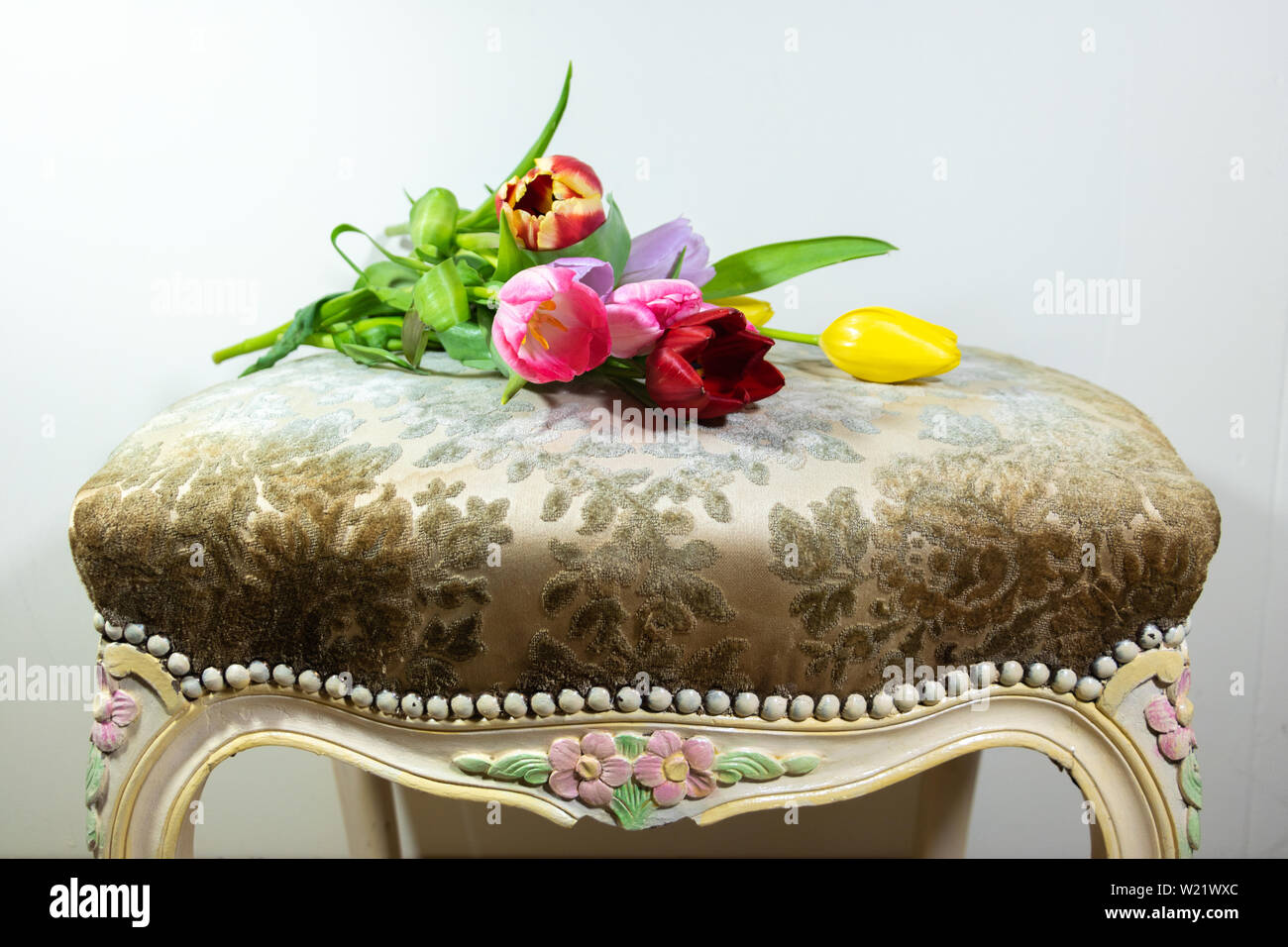 Bouquet of multicolored tulips placed on a vintage female seat covered with fabric. Stock Photo