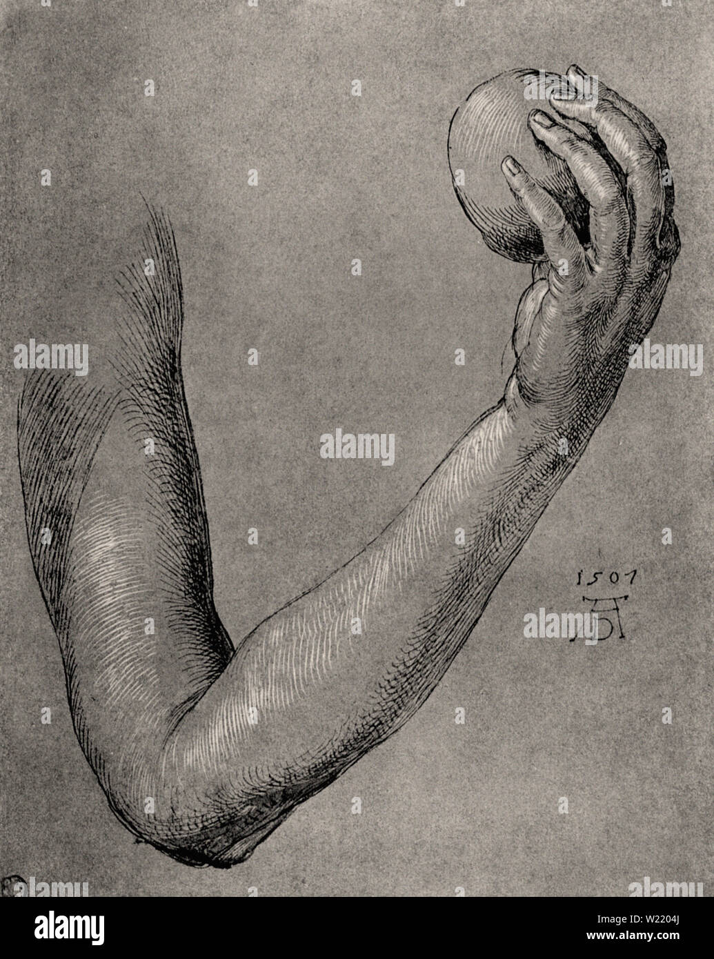 Albrecht Dürer - Arm Eve Stock Photo - Alamy