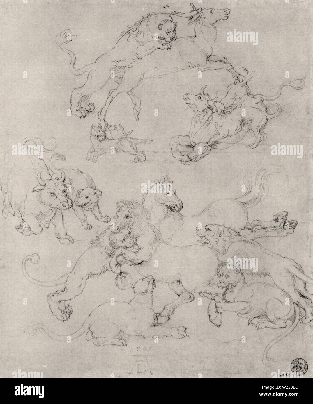 Albrecht D rer Study Sheet With Attacked Animals Stock Photo Alamy albrecht-d-rer-study-sheet-with-attacked-animals-stock-photo-alamy