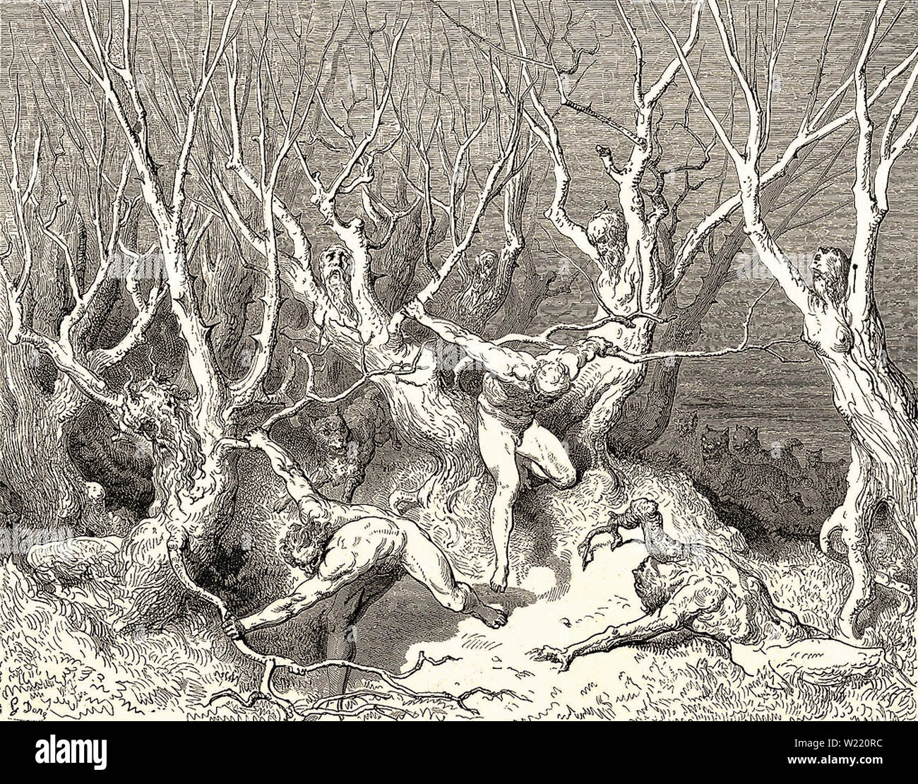 Gustave Doré - Inferno Canto 13 1 Stock Photo