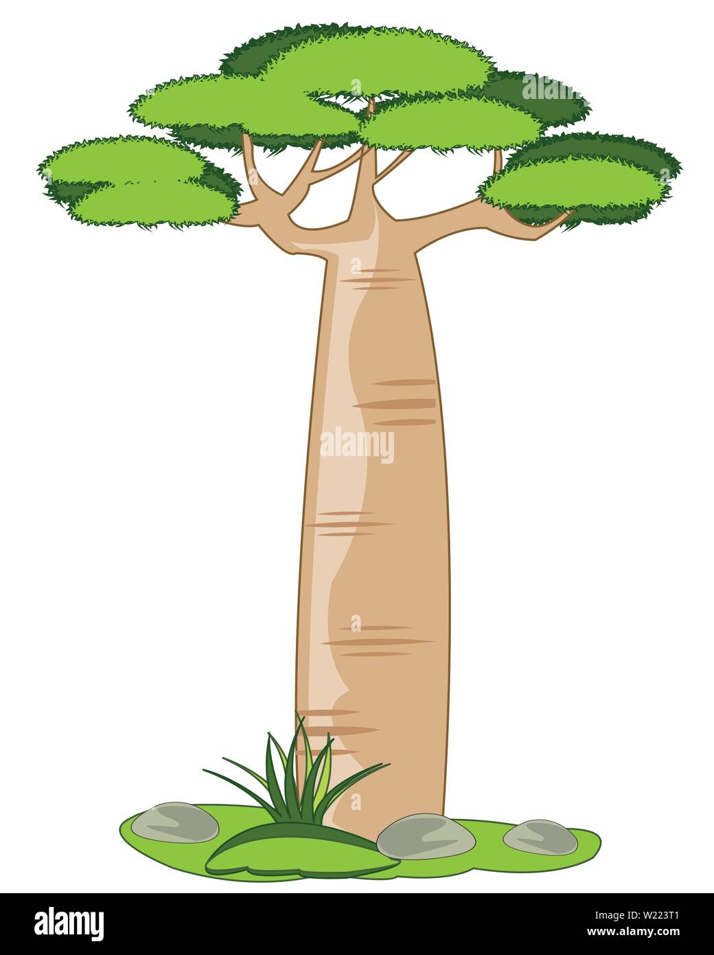 Exotic tree baobab on white background is insulated Stock Vector
