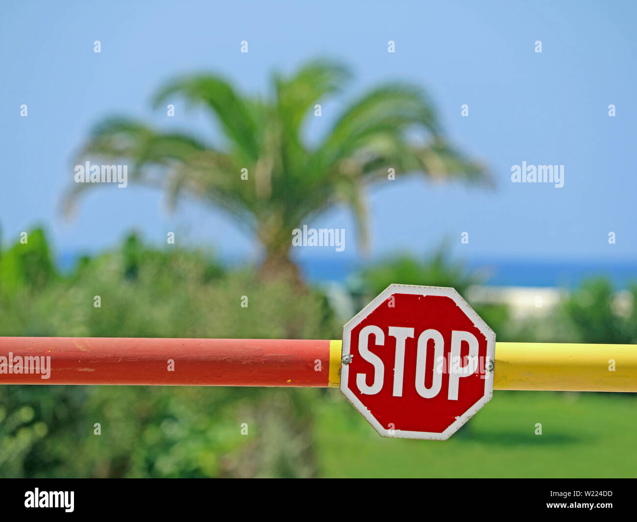 stop sign on the barrier with palm tree, blue sky and sea in the background, concept of travel cancellation Stock Photo