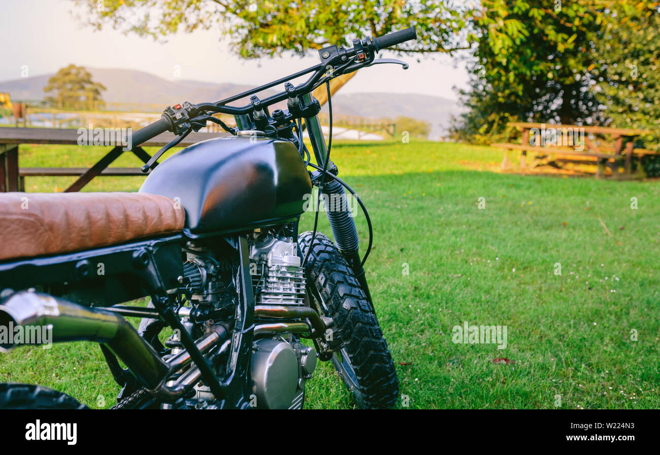 Custom motorcycle parked on the grass Stock Photo Alamy