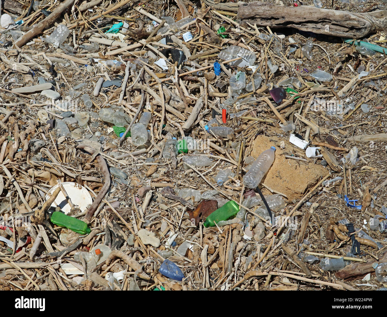 dirty plastic bottles and waste on the stone beach between drift wood. Environmental pollution Stock Photo