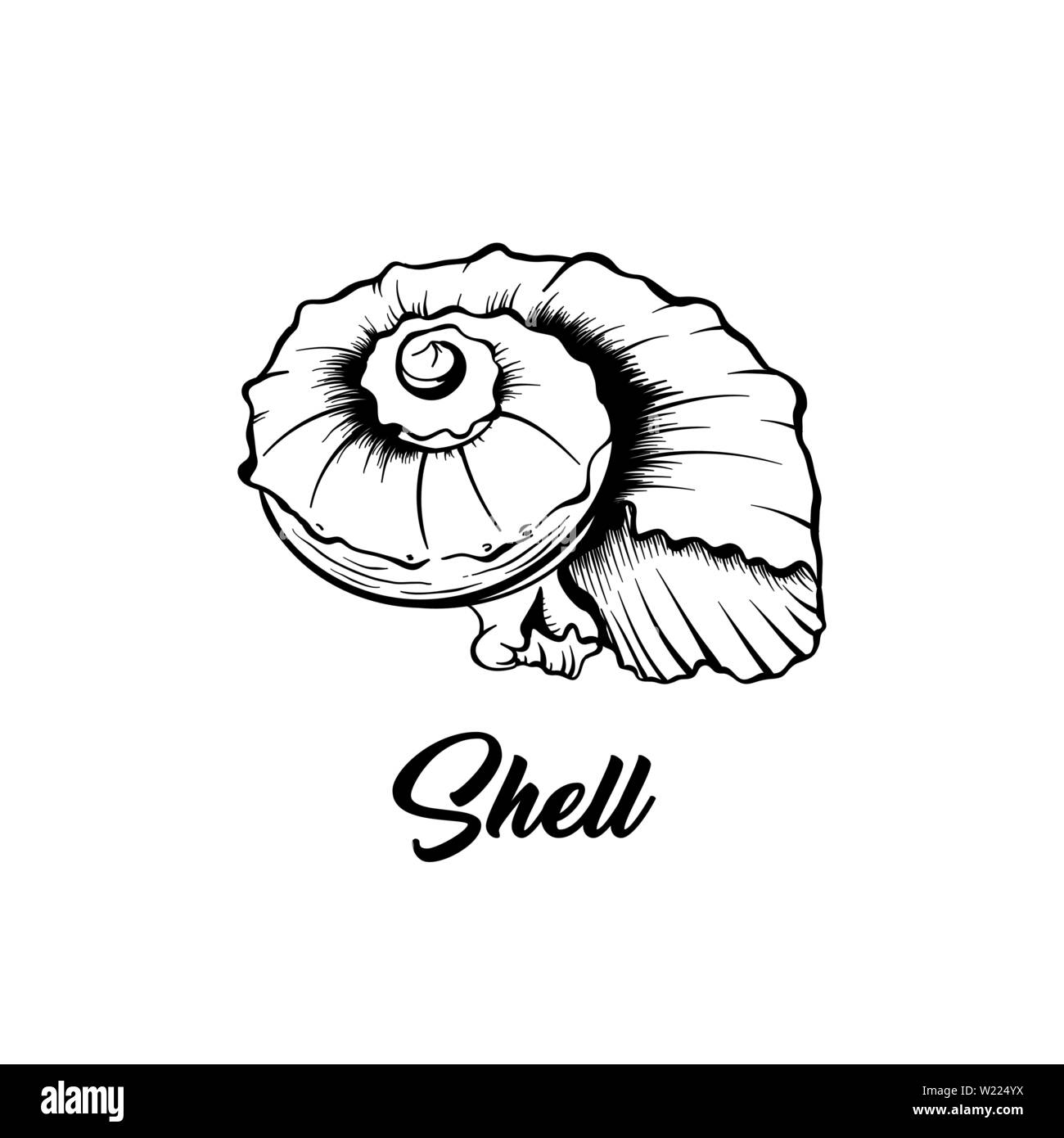 Sea shell black and white vector illustration. Spiral shaped nautical creature freehand drawing. Exotic mollusk, marine invertebrate animal engraving. Summer vacation poster design element Stock Vector
