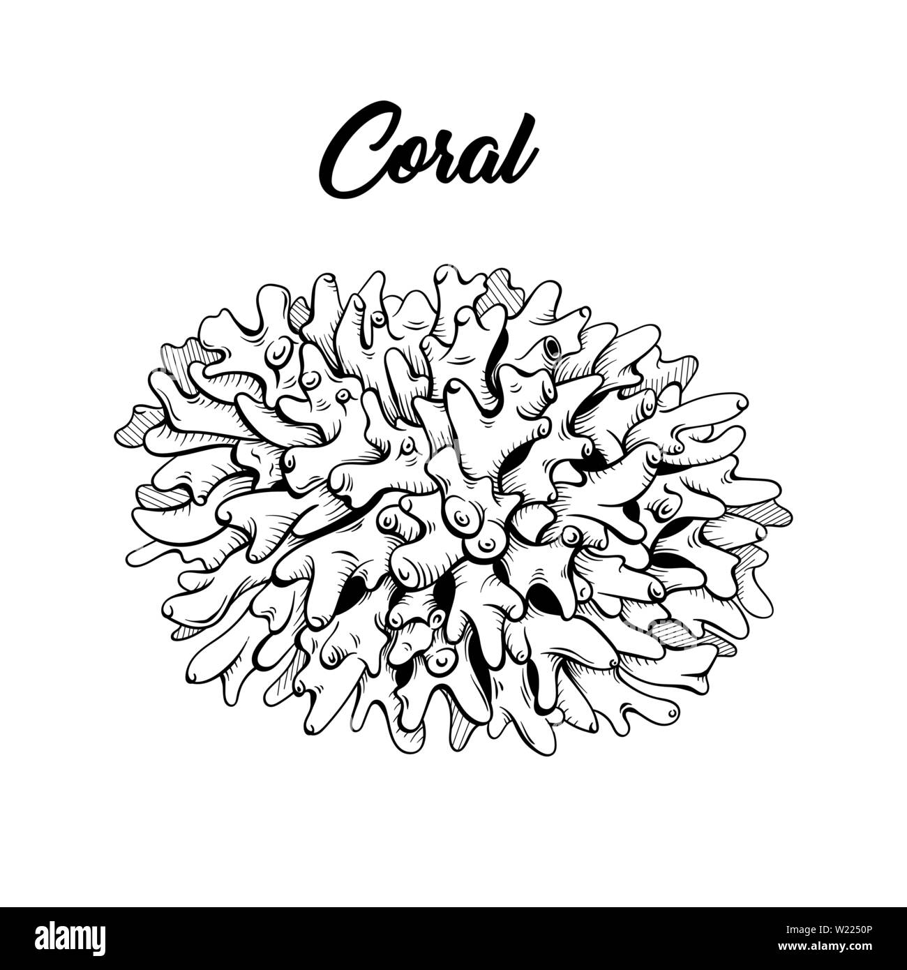 Coral black and white hand drawn illustration. Marine life, sea reef ecosystem wildlife sketch for coloring book. Aquarium decoration monochrome engraving. Scuba diving club poster design element Stock Vector
