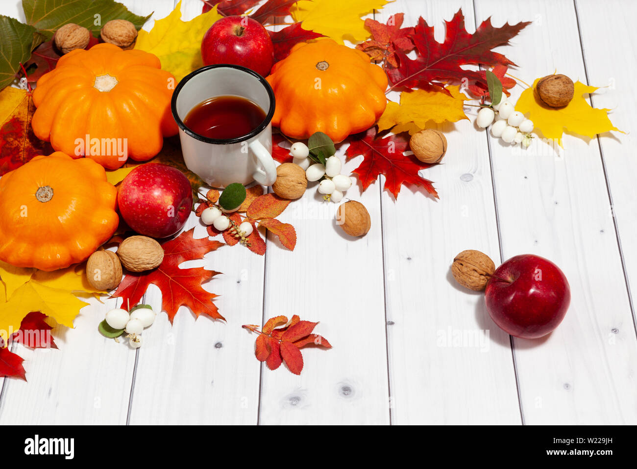 Bright fall horizontal background with orange pumpkins and red apples, nuts,cup of tea,green and yellow leaves,lying on the white desk wood with empty Stock Photo