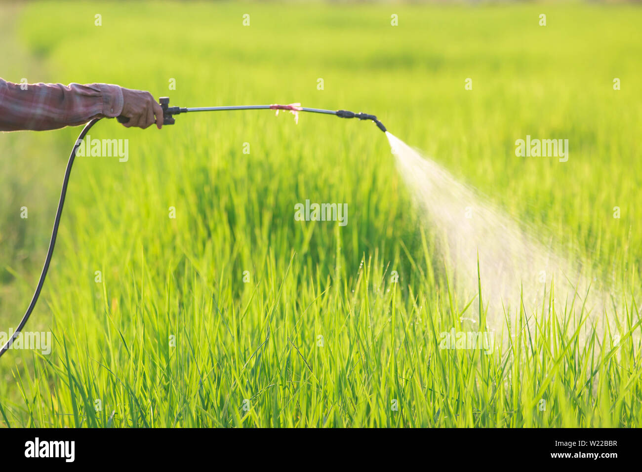 Pesticide toxicity hires stock photography and images Alamy