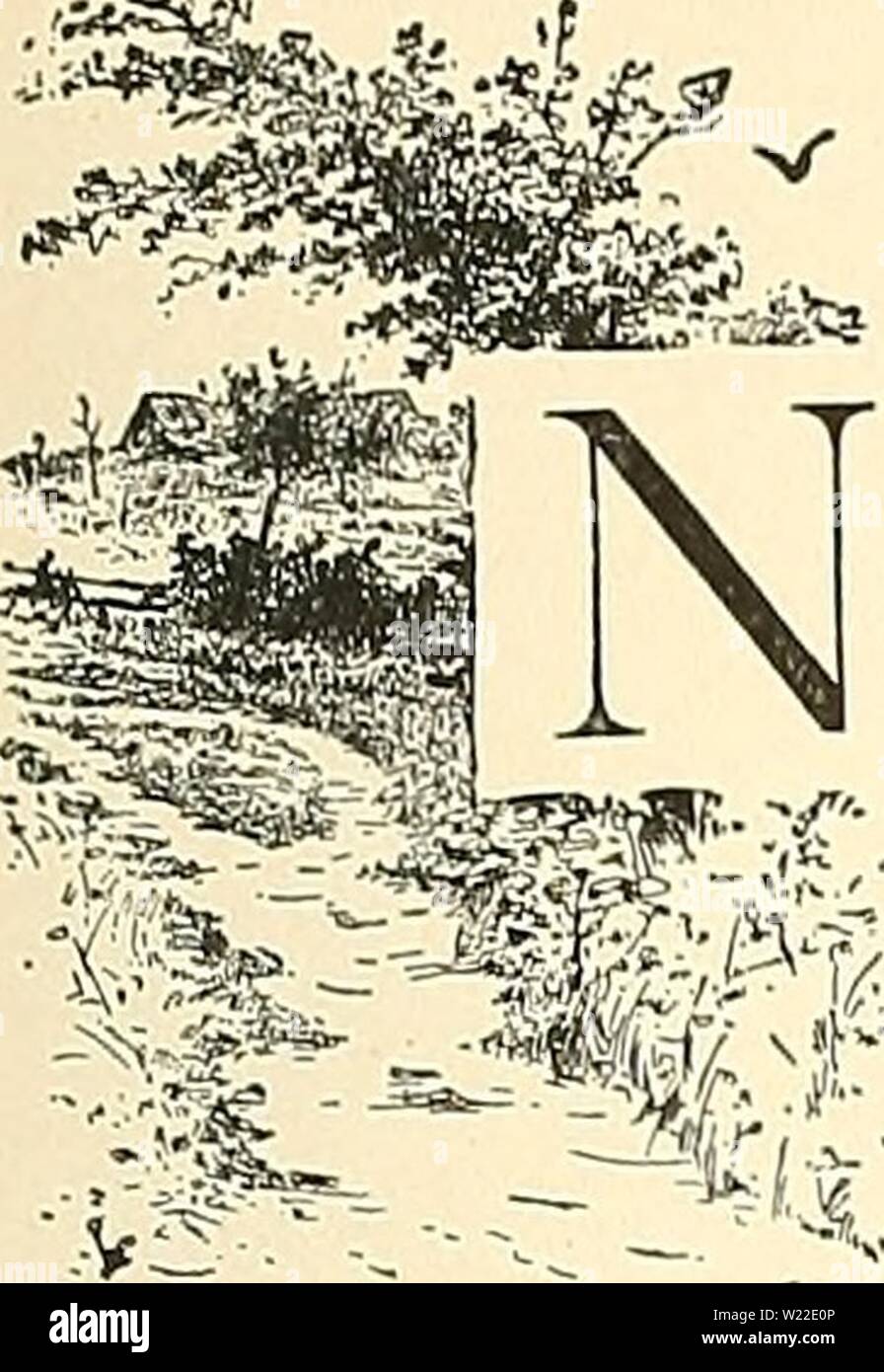 Archive image from page 12 of Cyclopedia of American horticulture, comprising. Cyclopedia of American horticulture, comprising suggestions for cultivation of horticultural plants, descriptions of the species of fruits, vegetables, flowers, and ornamental plants sold in the United States and Canada, together with geographical and biographical sketches  cyclopediaofamer04bail4 Year: 1900  ..'Astai    OW THAT THE CYCLOPEDIA OF AMERICAN HORTICULTURE is completed, it is due the reader that some information be given him of the methods by which it has been made and of the resources that have been at Stock Photo