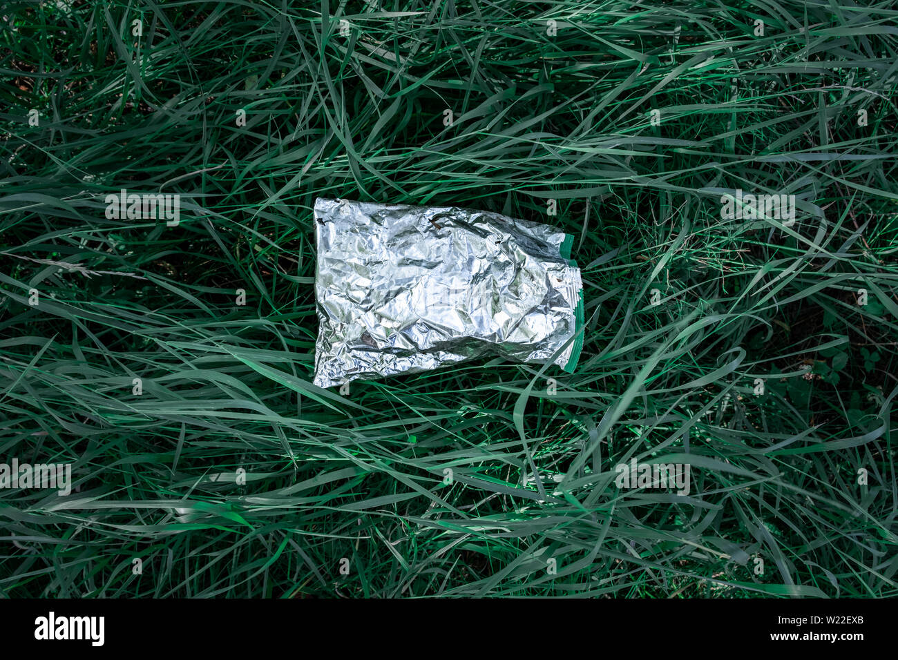 Plastic bag in green grass, nature pollution concept. Piece of plastic trash (empty food package) thrown away on a lawn Stock Photo