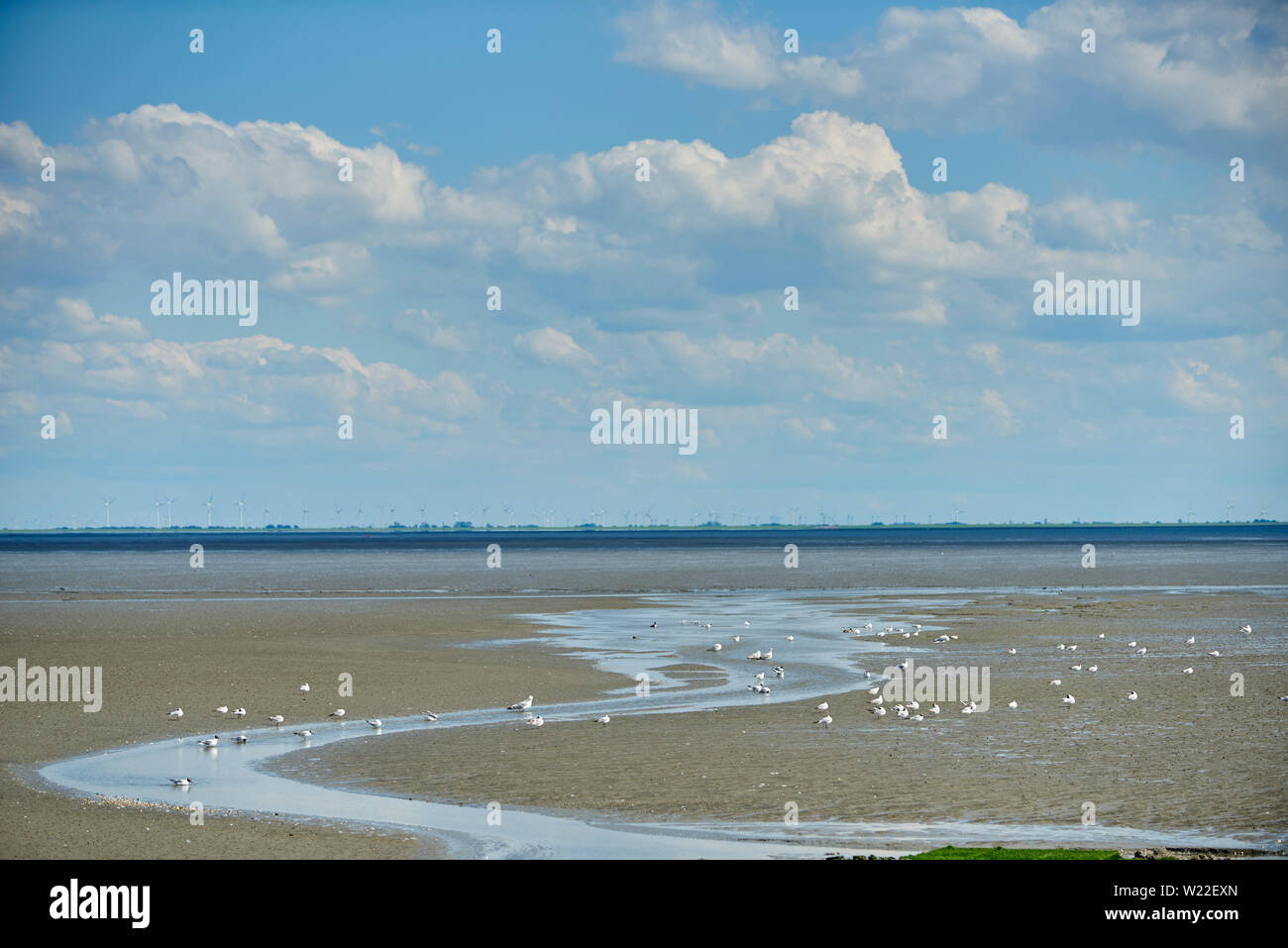 Pril hi-res stock photography and images - Alamy