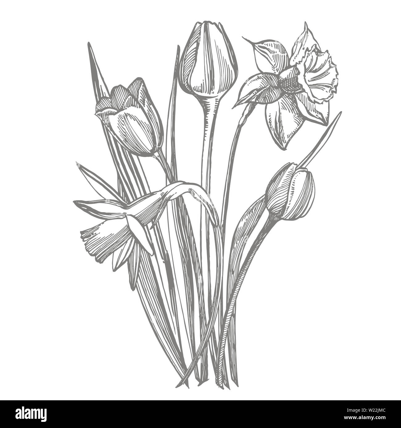 White Tulips and Cornflowers Bouquet