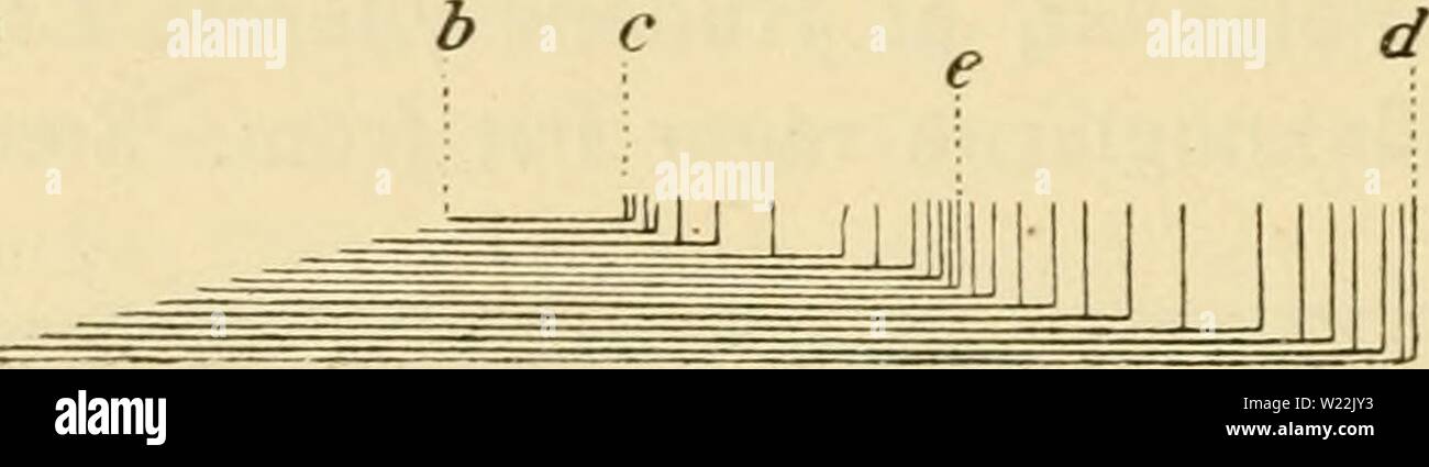 Tids High Resolution Stock Photography and Images - Alamy