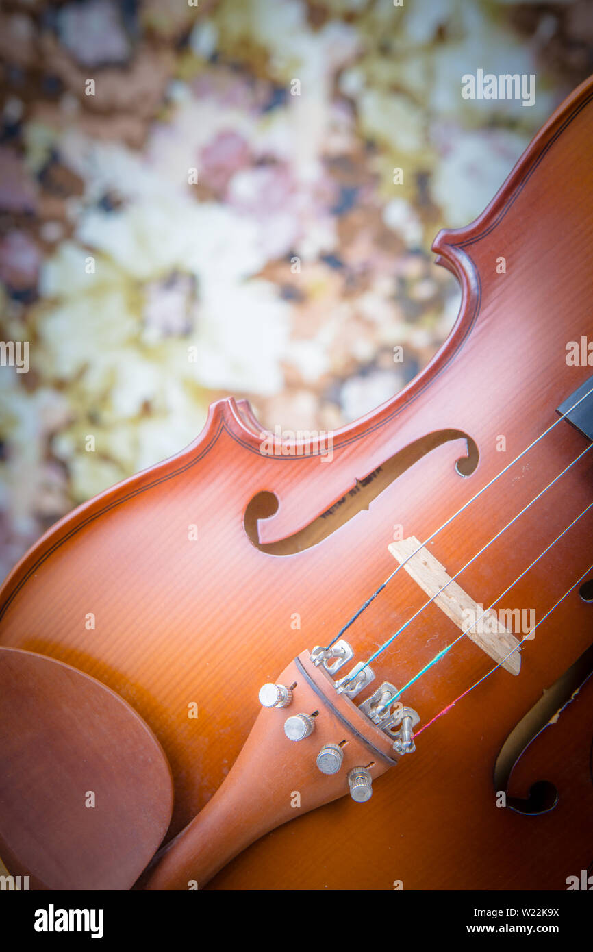 Violin viola musical instrument hires stock photography and images Alamy