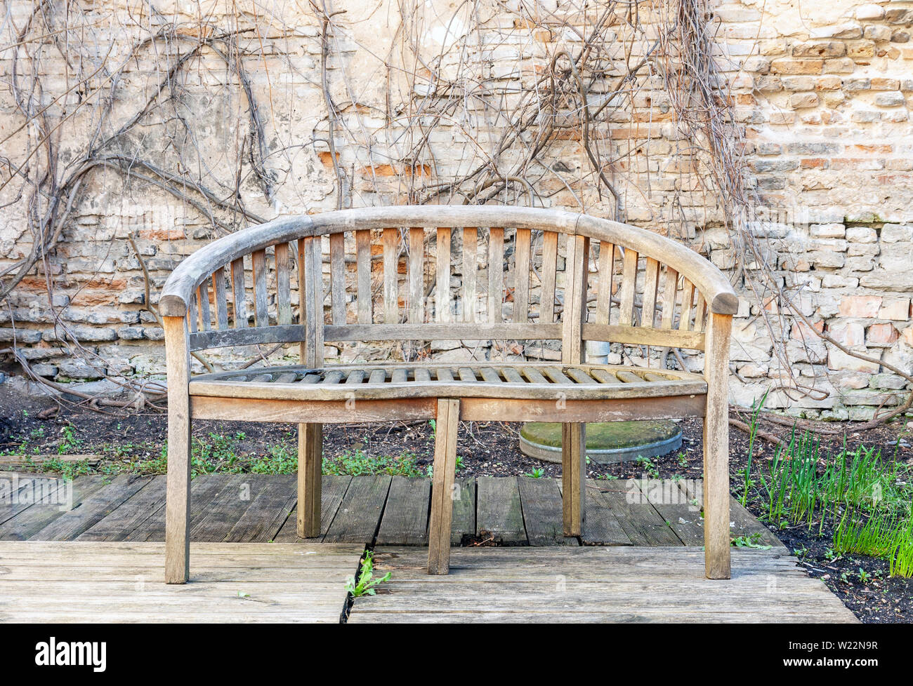 Old abandoned outdoor bench in a background of weathered brick wall and dry creeper plant, front view picture, no people Stock Photo