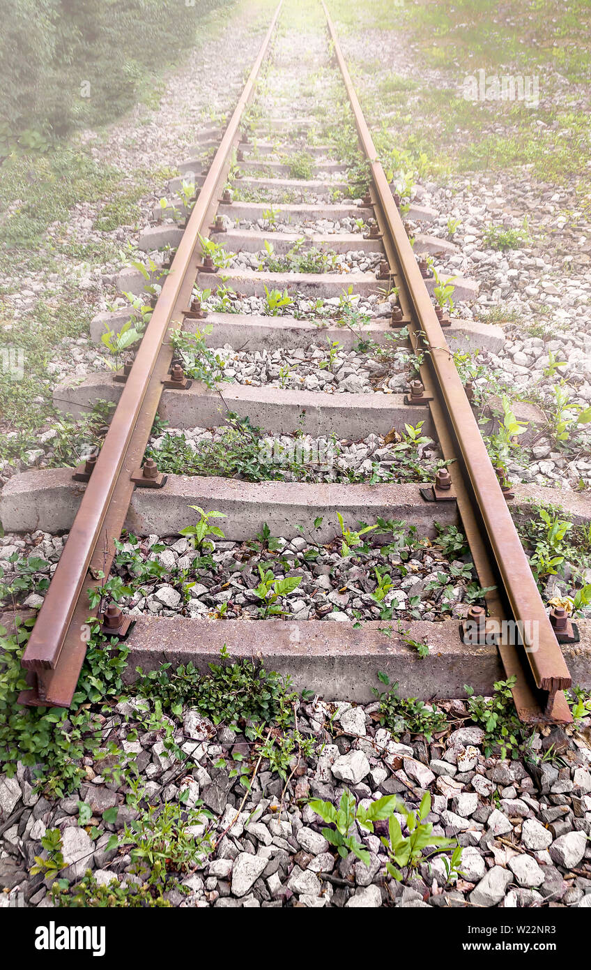 Old railway line; Stock Photo