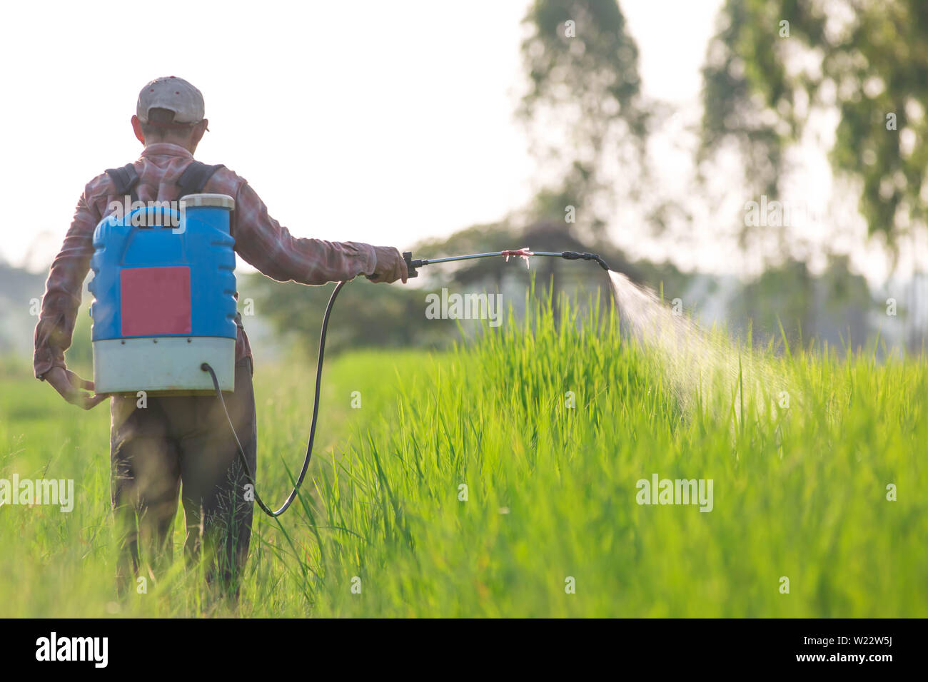 spraying pesticide Stock Photo