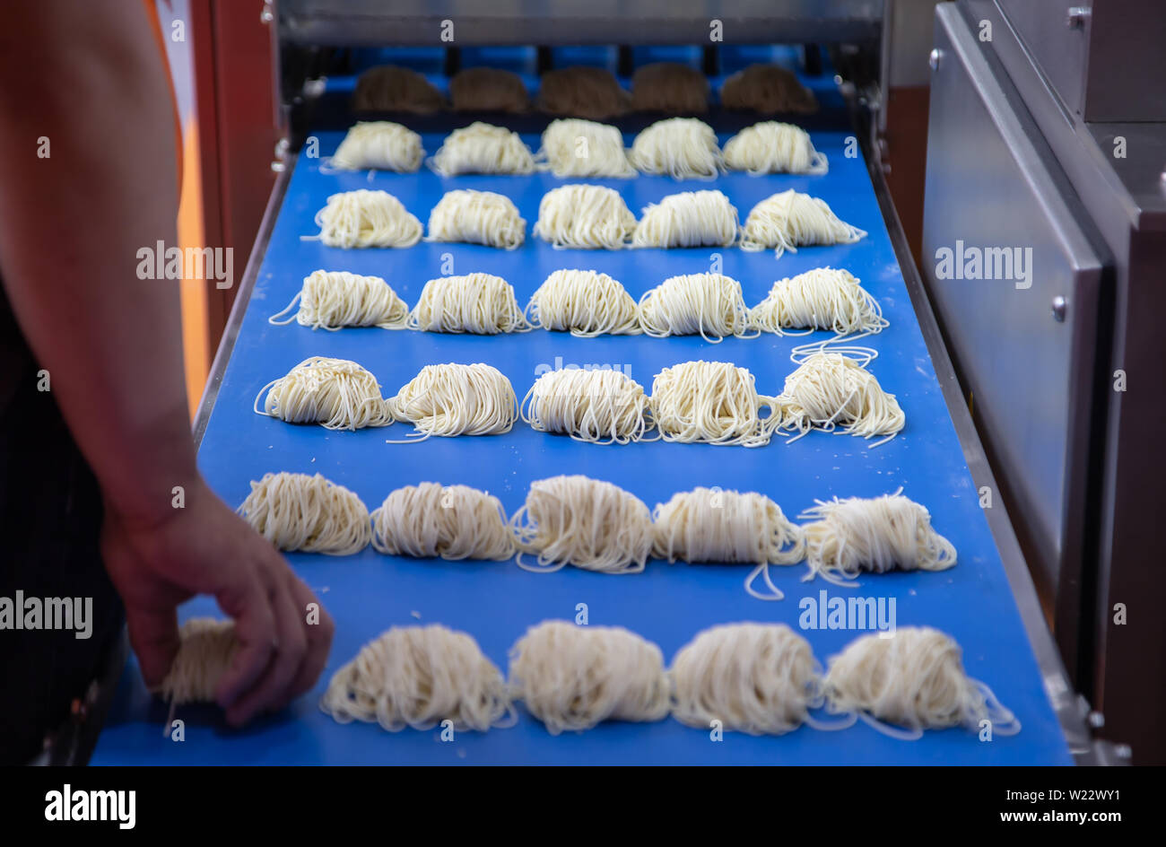 Automatic fresh noodle making machine and divider Stock Photo