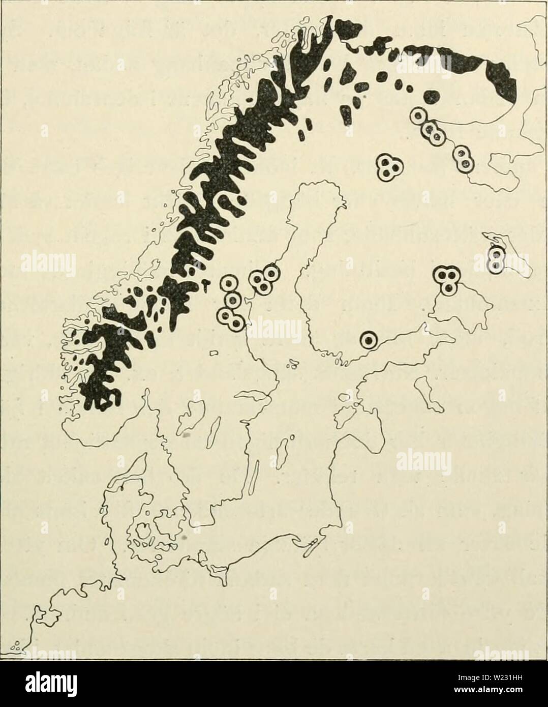Archive image from page 124 of Den norrländska florans geografiska. Den norrländska florans : geografiska fördelning och invandringshistoria ; med särskild hänsyn till dess sydskandinaviskar arter dennorrlndskaf00ande Year: 1912 SYDBERGENS FLORA OCH VEGETATION 107 Vissa undantag torde dock finnas. En del mycket sällsynta arter kunna naturligen från rent växtgeografisk synpunkt betecknas som relikter, äfven om de icke äro det fi-än ekologisk. Ett exempel härpå är Potentilla nivca, som BlRGER funnit i yppig utbildning i Medskogsberget i Härje- dalen inom barrskogsregionen åtminstone något hun Stock Photo