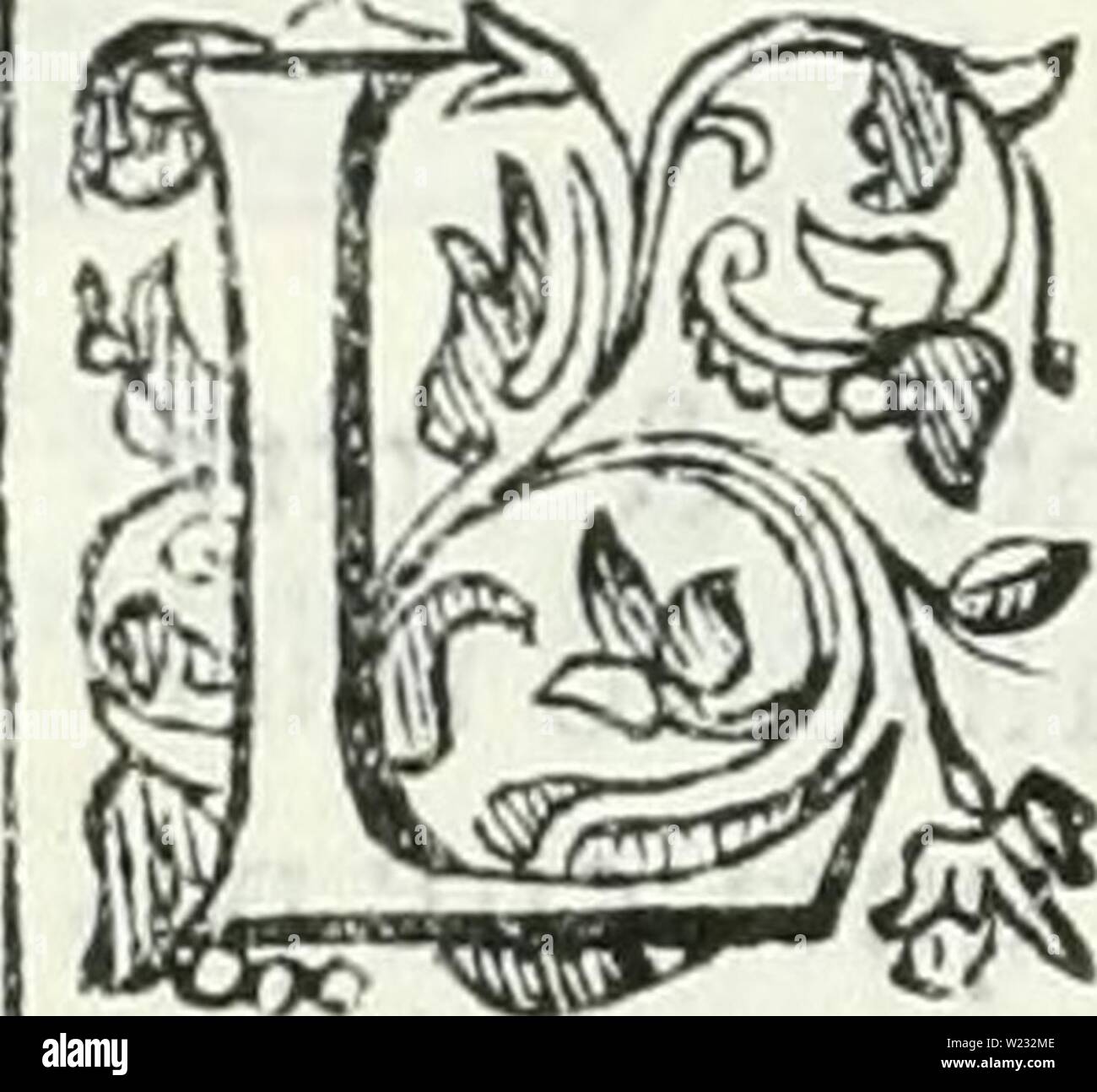 Archive image from page 127 of Dell'elixir vitæ (1624). Dell'elixir vitÃ¦  dellelixirvitae00dona Year: 1624  fcira.fcie, reni, j| mai delle reni,dal quale chiunque,e difagiaro, Nefritico chiamano i Mc- pettoiichlena?' d'ci&gt;& anche lafciatica . Moftragran forza nel dar rimedio a'morii de' falangi,e per togliere il dolore de' denti non cede il ino feme nel valor a qualunque aIcro,che porgere vi fappia il rimedio . Del feme d'etto Afpa- rago fc riffe Galeno,ch'Ã¨ valeuole contra l'oppilationi del fcgato,e dÃ Ã lui virtÃ¹ afterfiua, ma non manifeftamcnte rifcaldariua,Ã² rinficicatiua. Plinio li Stock Photo