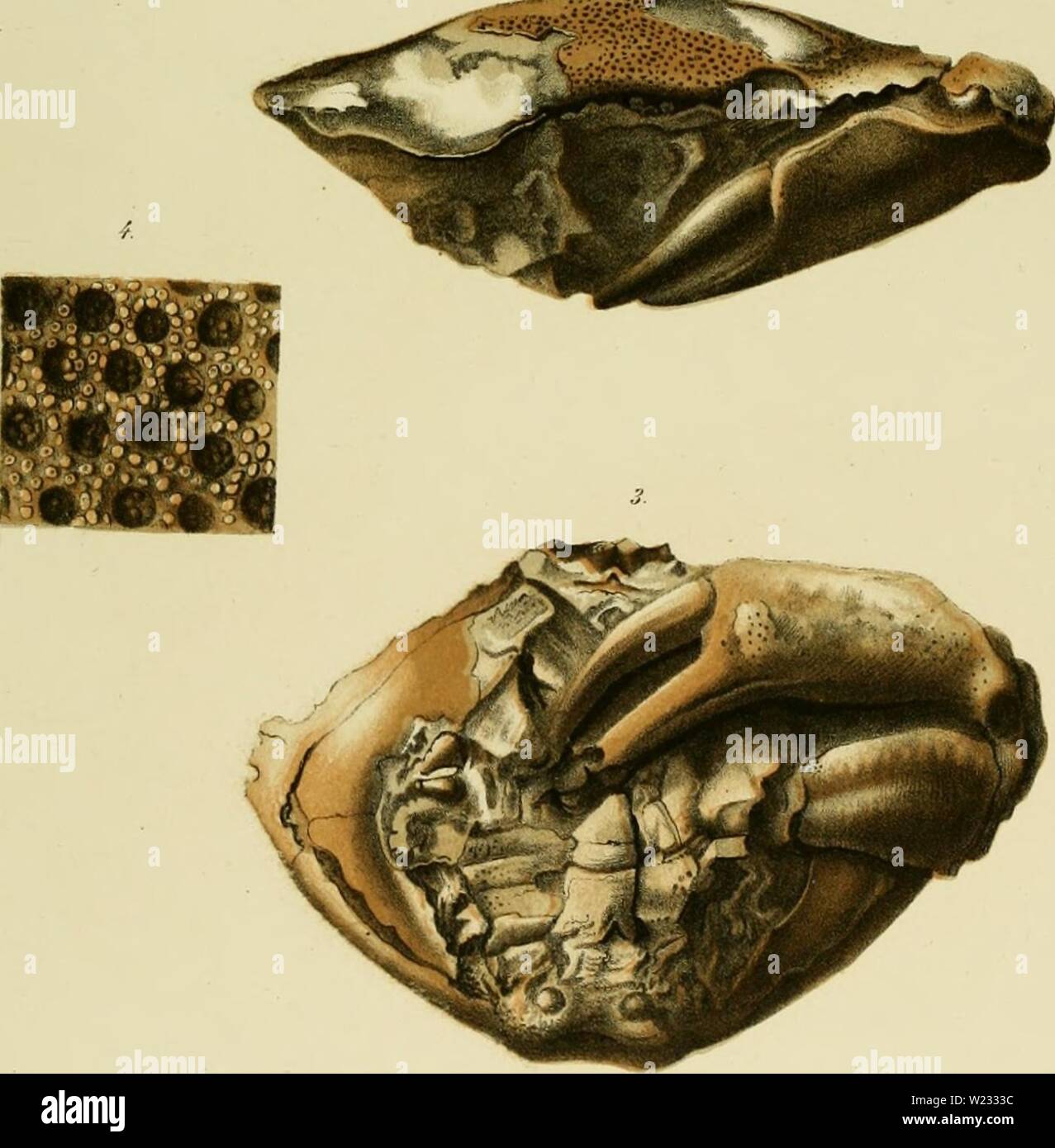 S j d harvard hi-res stock photography and images - Alamy S j d harvard hi-res stock photography and images - Alamy