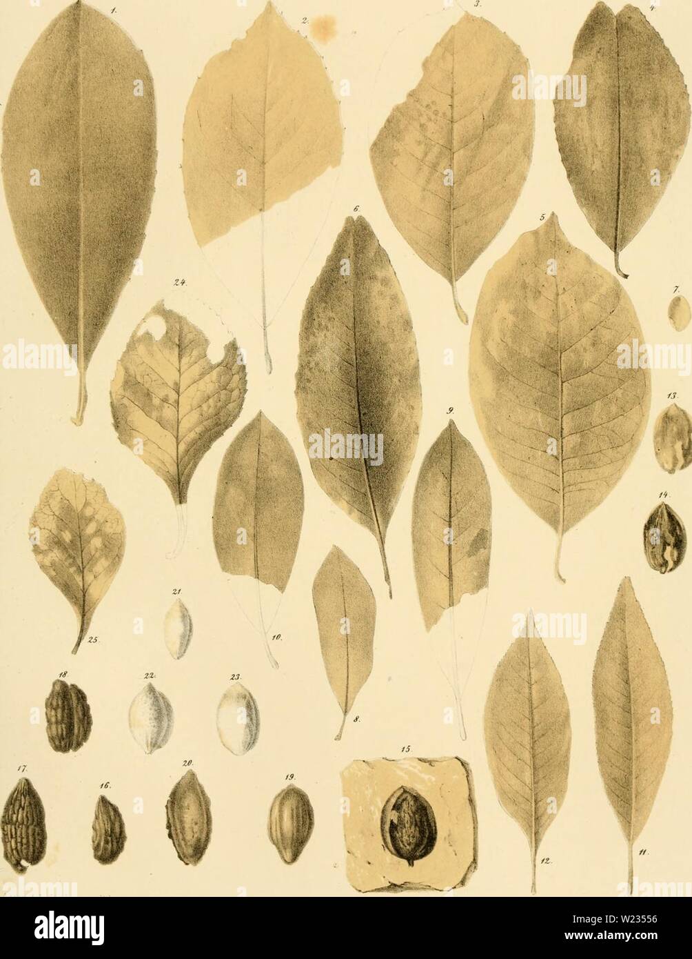 134 A D Stock Photos 134 A D Stock Images Page 3 Alamy