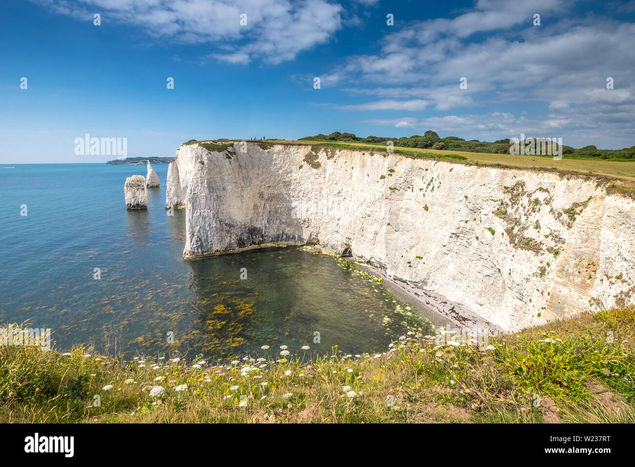 The Pinnacles pictured from Ballard Down, Isle of Purbeck, Dorset, UK Stock Photo