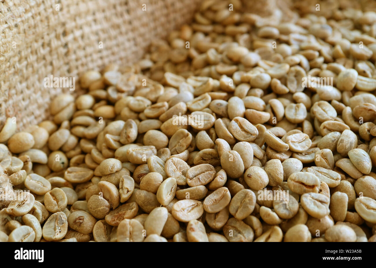 Pile of unroasted coffee beans in the burlap bag Stock Photo - Alamy